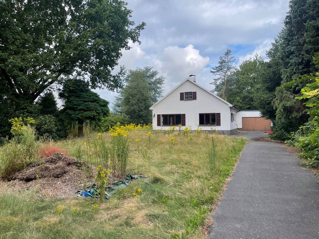 Drongen